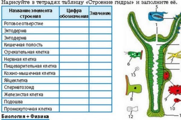 Ссылка на кракен тор браузер