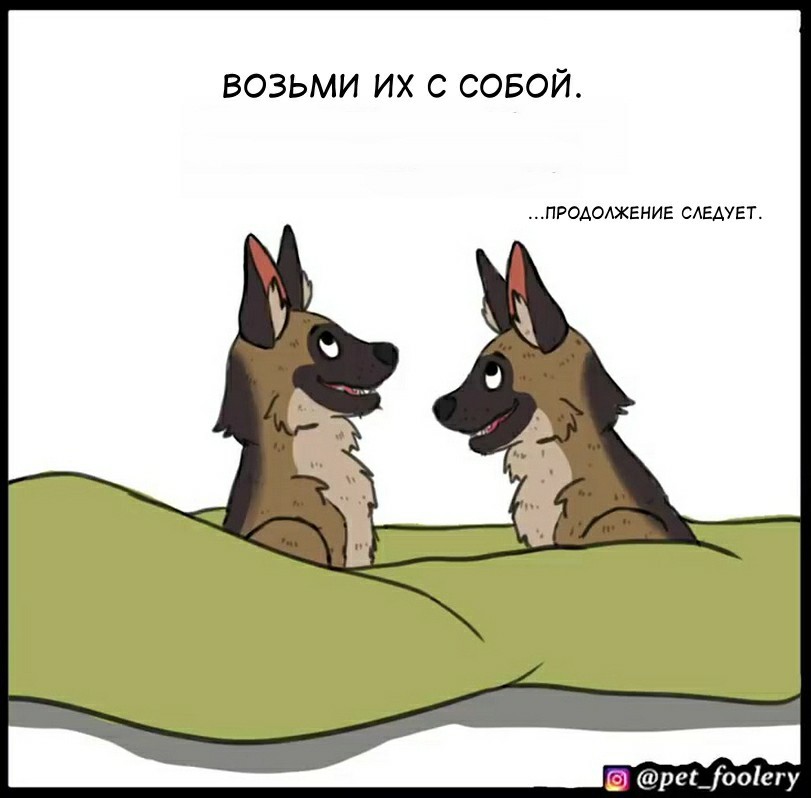 Кракен как войти через тор
