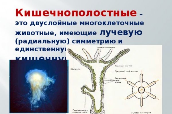Кракен это современный даркнет маркет